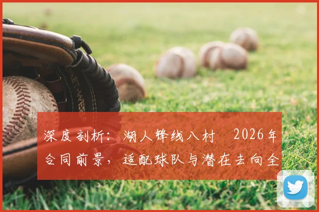 深度剖析：湖人锋线八村塁2026年合同前景，适配球队与潜在去向全解析