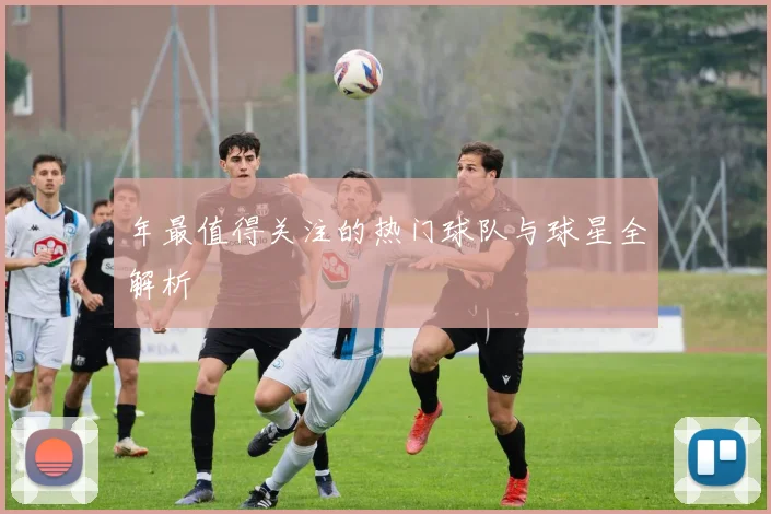 年最值得关注的热门球队与球星全解析